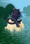  black_cat cat colored digital feline kekpafrany mammal rassimel rock sleethsight tail vector water willow world-tree-rpg yellow_eyes 