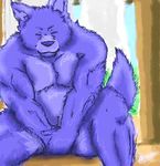  blue covering covering_up crotch_grab cute embarrassed eyes_closed fur galvinwolf male mammal nude purple_fur self solo wolf 