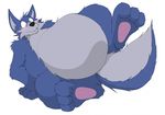  belly blue blue_fur blush canine chubby cute embarrassed fur hindpaw komagin mammal overweight paws solo wolf 