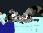  bert_raccoon kooshmeister ralph_raccoon tagme the_raccoons 