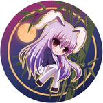  animal_ears bad_id bad_pixiv_id banned_artist bunny_ears chibi moon purple_hair red_eyes reisen_udongein_inaba solo thighhighs touhou yuuka_nonoko 