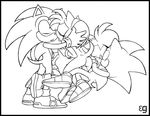  amy_rose epilepticgerbil sonic_team sonic_the_hedgehog tagme 