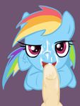  clopshop friendship_is_magic my_little_pony rainbow_dash tagme 