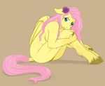  cartoonlion fluttershy friendship_is_magic my_little_pony tagme 