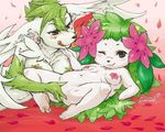  blush breasts female fingering flower knock_roman legendary_pok&#233;mon lesbian licking licking_lips looking_at_viewer lying nintendo nipples one_eye_closed pok&#233;mon pokemon pussy shaymin tongue tongue_out uncensored vaginal vaginal_fingering video_games 