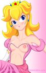  princess_peach shaian_willems super_mario_bros. tagme 