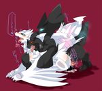  pokemon reshiram tagme zekrom 