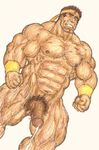  goro_daimon king_of_fighters tagme 