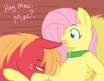  big_macintosh cartoonlion fluttershy friendship_is_magic my_little_pony 