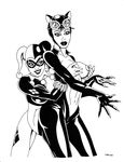  batman catwoman dc eso2001 harley_quinn 