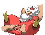  delibird pokemon tagme 