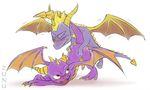 spyro_the_dragon tagme zunu-raptor 