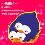  mawaru-penguindrum penguin_1 penguin_2 tagme 