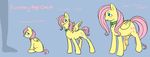  cartoonlion fluttershy friendship_is_magic my_little_pony tagme 