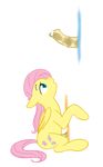  animated cartoonlion fluttershy friendship_is_magic my_little_pony 