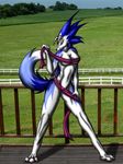 2011 anthro blue_fur canine claws crossgender female field fur g-sci_(snowfyre) grass horn looking_at_viewer mammal monster_rancher nude photo_background pink_eyes purple_eyes rule_63 smile snowfyre solo standing tiger tiger_(monster_rancher) tissue white_fur wolf 