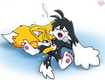  crossover klonoa sonic_team tails twotails 