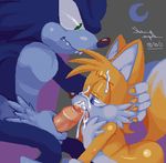  sonic_team sonic_the_werehog tagme tails 