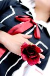  armband close-up cosplay flower kipi-san kurosu_yuuki photo rose vampire_knight yuki_cross 