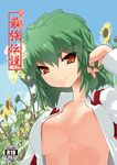  adjusting_hair bad_id bad_pixiv_id breasts breasts_apart cleavage cover cover_page dress_shirt flower green_hair hair_flip isada_(daisa) kazami_yuuka light_smile medium_breasts nature no_bra open_clothes open_shirt plaid plaid_vest red_eyes shirt short_hair solo sunflower touhou upper_body vest 