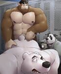 anal anal_penetration anthro ape bear bent_over bin_(artist) butt butt_grab camera caught chubby_male clothed clothing doggystyle duo from_behind_position giant_panda hand_on_butt haplorhine hi_res humiliation locker_room locker_room_sex looking_back male male/male mammal musclegut muscular muscular_male nipples nude open_mouth pecs penetration polar_bear primate sex slightly_chubby surprised_expression ursine