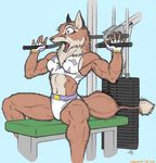  buff canine doing_it_wrong female fingerless_gloves fox furgonomics gloves humor iisaw mammal muscles muscular_female open_mouth ouch pain solo tail tail_pain trapped weight_machine weights working_out workout yelp 