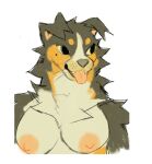 2019 anthro areola bernese_mountain_dog black_eyes breasts brown_body brown_ears brown_fur bust_portrait button_ears canid canine canis cheek_tuft countershade_fur countershading digital_media_(artwork) domestic_dog ear_tuft facial_tuft fangs female floppy_ears fur grey_nose mammal molosser mountain_dog neck_tuft nipples nude open_mouth orange_areola orange_body orange_fur orange_nipples pink_tongue portrait shoulder_tuft simple_background smile solo swiss_mountain_dog tan_body tan_breasts tan_countershading tan_fur tan_sclera teeth thorn_paw tongue tongue_out tuft white_background