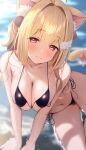  1girl ahoge animal_ear_fluff animal_ears armpit_crease beach bikini black_bikini blonde_hair blurry blush cat_ears cat_tail commentary depth_of_field dot_nose hair_intakes hands_on_ground head_tilt highres kemomimi_refle! long_hair looking_at_viewer nekoma_karin outdoors partially_submerged pink_ribbon ray_mil68 red_eyes ribbon side-tie_bikini_bottom sitting solo swimsuit tail tail_ornament tail_ribbon tareme water wet wing_hair_ornament 