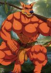 abs activision anthro balls blazar bottomwear claws clothed clothing crash_bandicoot_(series) dasyuromorph detailed_background forest fur genitals hi_res humanoid_genitalia humanoid_penis jungle loincloth male mammal marsupial melee_weapon mostly_nude muscular muscular_anthro muscular_male nipples orange_body orange_eyes orange_fur pecs penis plant polearm solo spear teeth thylacine tiny_tiger topless tree weapon