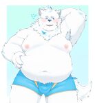 2023 anthro belly big_belly blush bulge canid canine canis clothing domestic_dog dragon_night800 fur hi_res humanoid_hands kemono lifewonders live_a_hero male mammal moobs nipples overweight overweight_male simple_background solo underwear white_body white_fur yohack