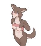 anthro beastars bfkitsu1550 blue_eyes breasts brown_body brown_fur brown_hair canid canine canis clothing crotch_tuft female front_view fur hair hi_res juno_(beastars) mammal mostly_nude nipples shirt simple_background solo tank_top topwear topwear_lift tuft white_background wolf