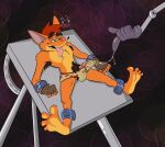 activision ankle_cuffs anthro bandicoot bodily_fluids bulge clothed clothing crash_bandicoot crash_bandicoot_(series) cuff_(restraint) erection erection_under_clothing genital_fluids genitals hi_res male mammal marsupial maverickk_(artist) metal_cuffs metal_table penis precum precum_string restraints robotic_arm strapped_down strapped_to_a_table tongue tongue_out underwear