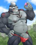 absurd_res anthro ape chain_necklace clothing duo erection extreme_size_difference facial_piercing genitals gorilla gorimondo_(kirby) haplorhine hi_res jewelry kirby kirby_(series) kirby_and_the_forgotten_land maldu male mammal musclegut muscular muscular_male necklace nintendo nipple_piercing nipple_ring nipples nose_piercing nose_ring penis piercing primate ring_piercing size_difference tenting underwear vein veiny_penis