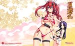  hyakka_ryouran_samurai_girls ni&theta; tagme wallpaper 