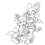 age_difference anthro bat bat_wings canid canine duo female fox hi_res humor hyoumaru male male/female mammal membrane_(anatomy) membranous_wings miles_prower older_female rouge_the_bat sega sonic_the_hedgehog_(series) taller_female wings younger_male