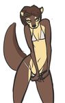 bikini brown_hair clothed clothing cute female hair hands_between_legs mammal mik mikhaila mustelid navel otter ritts scar sketch skimpy solo standing swimsuit tight_clothing yellow_eyes 