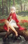  albino apple apple_core barefoot cape chibi_(shimon) elysion flower food forest fruit hand_on_own_knee holding hood hood_down lafrenze long_hair nature open_mouth red_eyes sash silver_hair sitting skirt smile solo sound_horizon spider_lily tree water white_skirt 