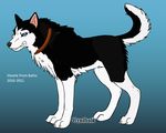  balto blue_eyes canine dog feral husky mammal solo steele wyndbain 
