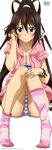  infinite_stratos possible_duplicate stick_poster tagme 