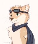 adrian_(snowstormbat) eyewear goggles hi_res male mammal mustelid otter simple_background snowstormbat solo