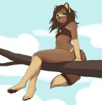 2022 absurd_res anthro anutka areola arm_support biped blue_eyes blue_sky branch breasts brown_body brown_fur brown_hair brown_pawpads canid canine cloud day digital_media_(artwork) eyebrows eyelashes female full-length_portrait fur hair hi_res hindpaw leaf_in_hair long_hair looking_at_viewer mammal navel nipples nude outside pawpads paws pink_areola pink_nipples portrait raccoon_dog shaded sitting sitting_on_branch sky small_breasts solo tail tanuki