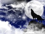  and blue cloud full_moon mammal moon rain silhouette sky stars wallpaper wolf wolf&#039;s wolf's_rain 