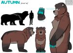 absurd_res annabelle_autumn_pines bear brown_bear feral hi_res impliedrainbows kodiak_bear mammal model_sheet quadruped reference_guide reference_to_character ursine