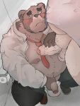 2024 absurd_res anthro balls bear belly big_belly blush bottomwear clothed clothing detailed_background dumdum duo erection genitals hi_res kemono male male/male mammal necktie open_clothing open_shirt open_topwear overweight overweight_male pants penis shirt sitting toilet topwear