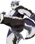  1boy abs ainu_clothes animal_ears ass bara bulge chest_hair feet_out_of_frame furry furry_male grey_fur grey_hair headband highres horkeu_kamui kicking large_pectorals looking_at_viewer male_focus muscular muscular_male nipples pectorals pelvic_curtain serious short_hair solo suna_sand1 thick_thighs thighs tokyo_afterschool_summoners two-tone_fur vambraces white_background white_fur wolf_boy wolf_ears yellow_eyes 