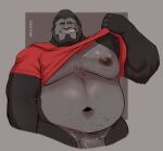 2024 anthro ape barazoku beard belly belly_hair big_nipples big_pecs body_hair bottomless broad_shoulders chest_hair clothed clothing clothing_lift emory_(sinfulspikes) facial_hair genitals gorilla grey_hair hair hairy half-length_portrait haplorhine hi_res looking_at_viewer male mammal mature_anthro mature_male moobs musclegut muscular navel nipples overweight overweight_anthro overweight_male pecs penis penis_base pinup portrait pose presenting primate pubes shirt shirt_lift silverback_gorilla sinfulspikes smile smiling_at_viewer smirk smirking_at_viewer solo stocky topwear