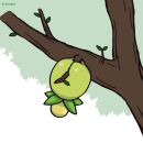 ass branch leaf no_humans pokemon rekcmas smoliv tree twitter_username upside-down 