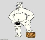 2024 anthro balls bear belly black_nose club_penguin erection genericboxhead genitals herbert_p._bear hi_res male mammal moobs nipples overweight overweight_male penis polar_bear simple_background solo ursine white_body