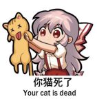  1girl animal bilingual bow cat chibi chinese_text collared_shirt commentary dress_shirt english_text fujiwara_no_mokou hair_between_eyes hair_bow holding holding_animal holding_cat jokanhiyou long_hair lowres mixed-language_text no_nose outstretched_arms pants pink_hair puffy_short_sleeves puffy_sleeves red_bow red_eyes red_pants shirt short_sleeves suspenders symbol-only_commentary tongue tongue_out touhou translation_request two-tone_bow very_long_hair white_bow white_shirt 