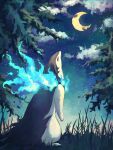  7_phi_3 alternate_color animal_focus blue_fire cloud commentary crescent_moon fire grass highres hisuian_typhlosion looking_up moon night night_sky no_humans pokemon pokemon_(creature) shiny_pokemon sky standing star_(sky) symbol-only_commentary 